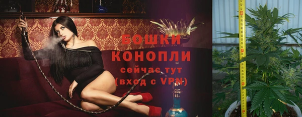 стафф Беломорск